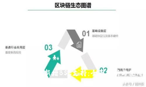 电脑版TPWallet新增BSC支持：全面解析与使用指南