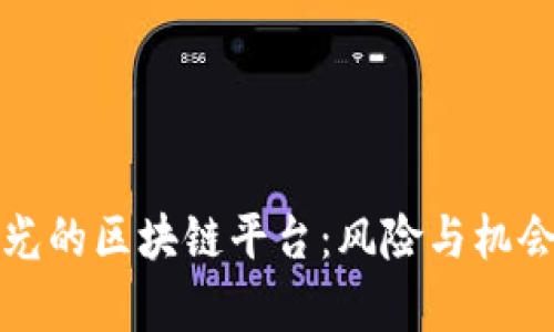 被曝光的区块链平台：风险与机会分析