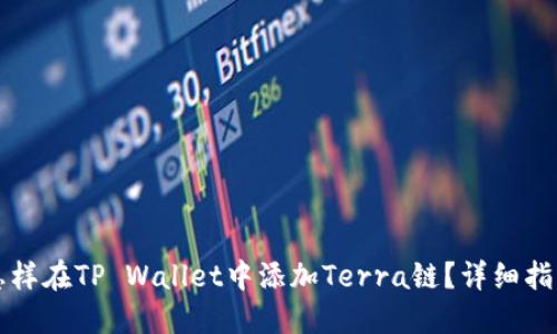 怎样在TP Wallet中添加Terra链？详细指南