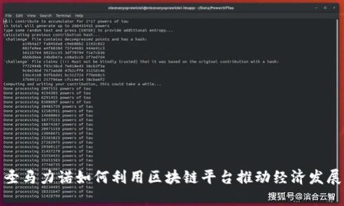 圣马力诺如何利用区块链平台推动经济发展